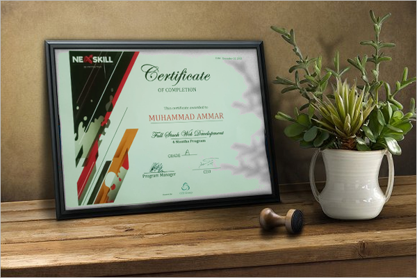 web dev certificate